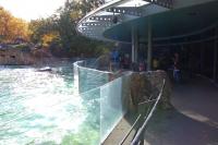 Imagine atasata: Zoo Berlin 0457.JPG